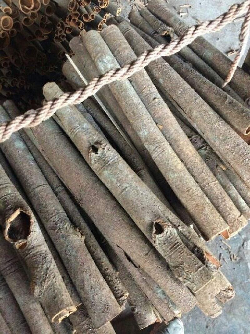 广西玉林精品桂皮散装中通加厚通纸箱装也可以