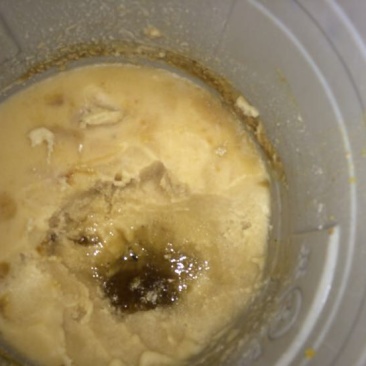 土蜂蜜蜂王家族土蜜蜂可入药可做饮品百花酿造