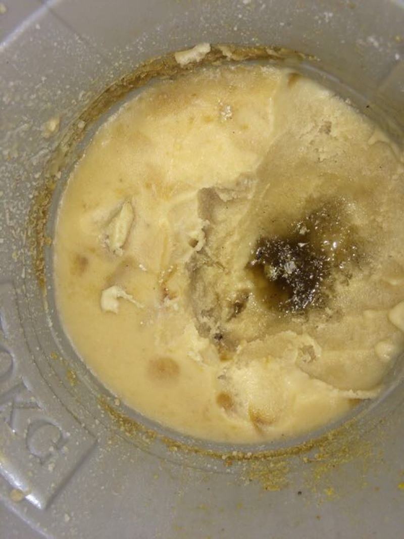 土蜂蜜蜂王家族土蜜蜂可入药可做饮品百花酿造