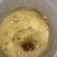 土蜂蜜蜂王家族土蜜蜂可入药可做饮品百花酿造