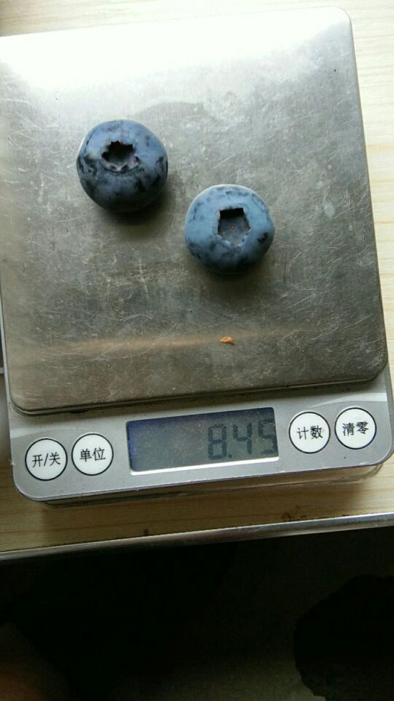 蓝丰蓝莓鲜果6~8mm以上