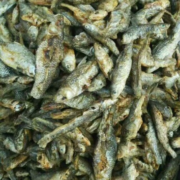 鱼干烤鱼干
