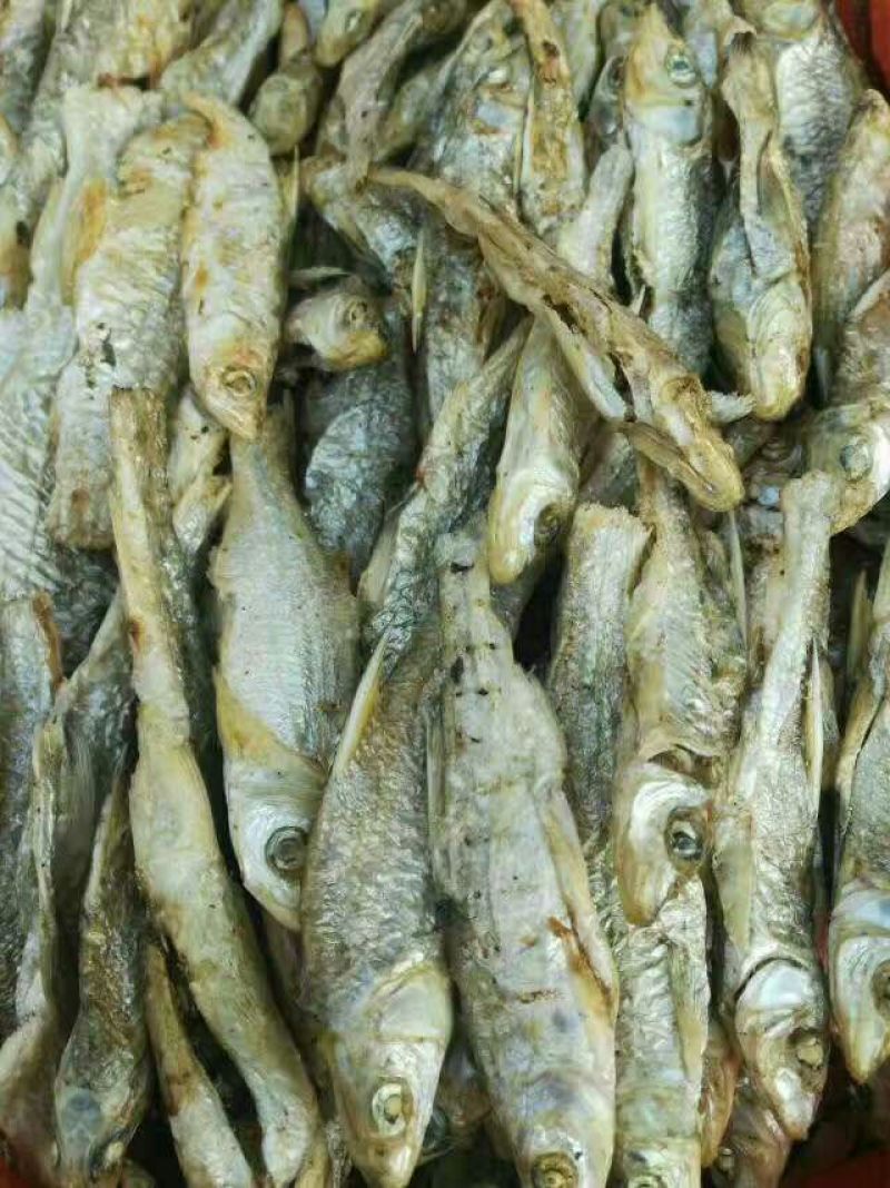 鱼干烤鱼干
