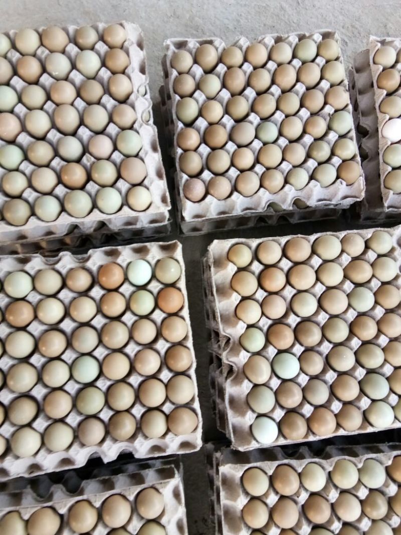 野鸡蛋食用50g以下