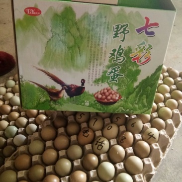 野鸡蛋食用50g以下