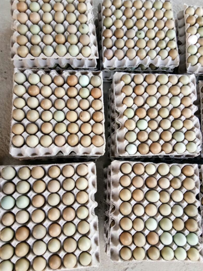 野鸡蛋食用50g以下