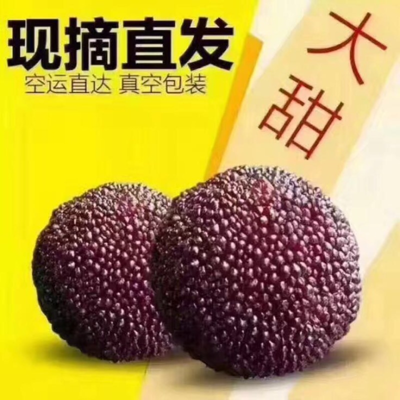 仙居杨梅
