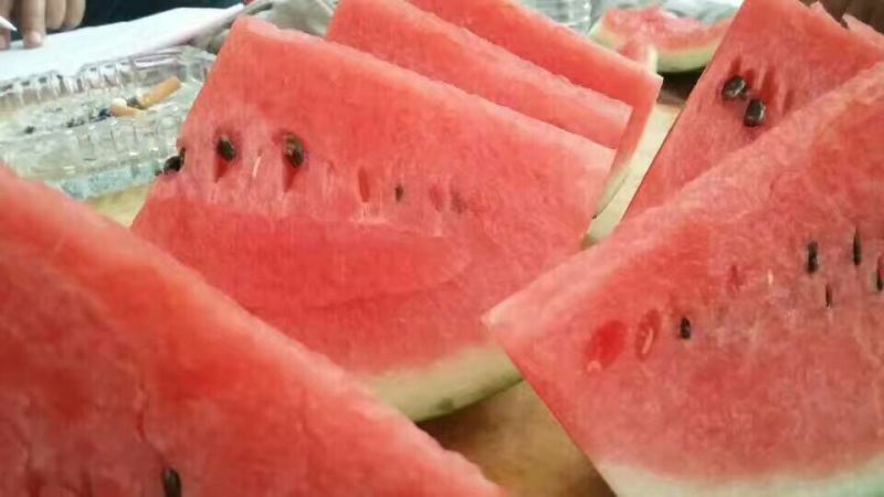 陕西大荔甜王西瓜大量供应中欢迎各大团队前来产地采购