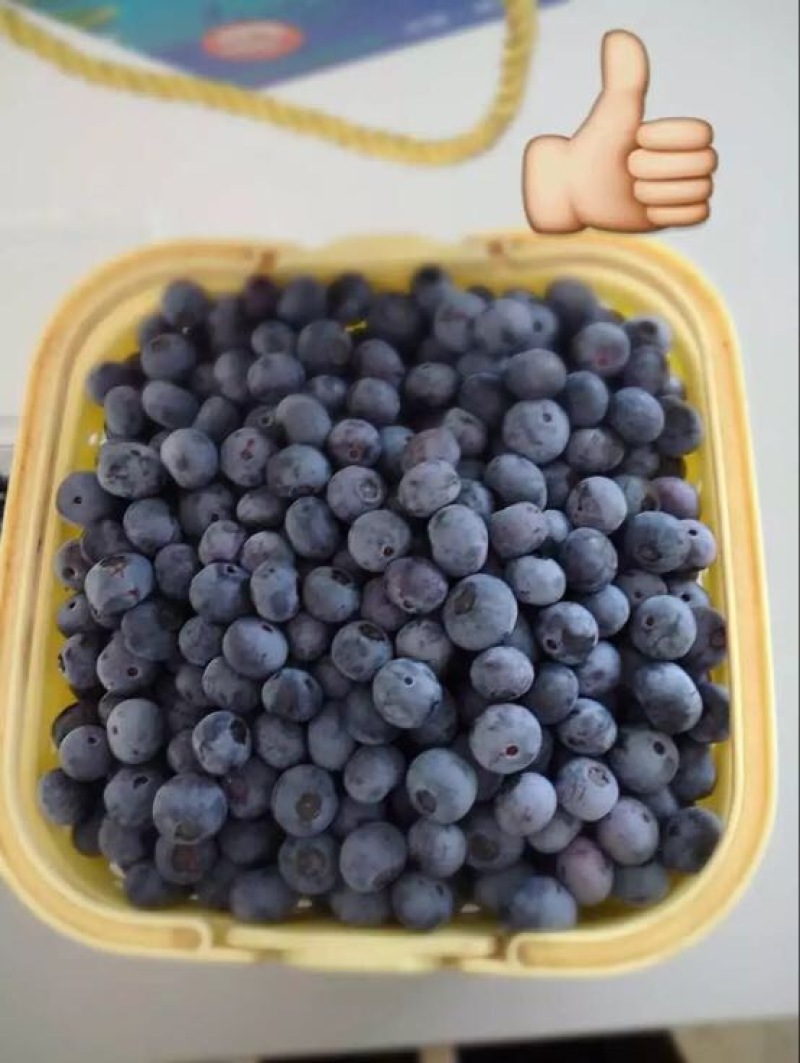 蓝莓