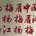 仙居杨梅1~1.5cm