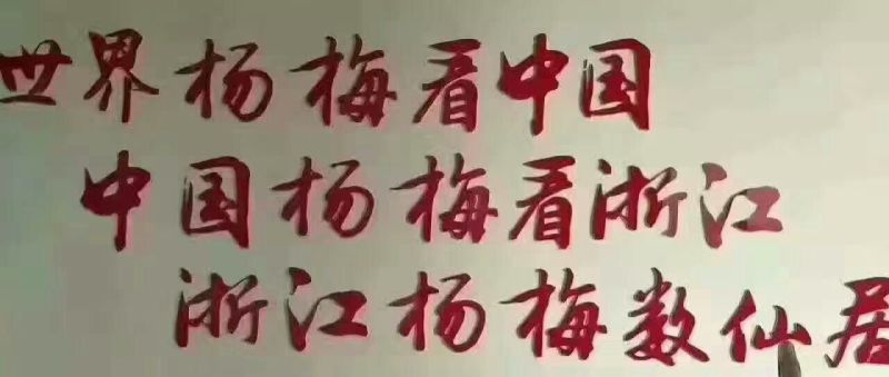 仙居杨梅1~1.5cm