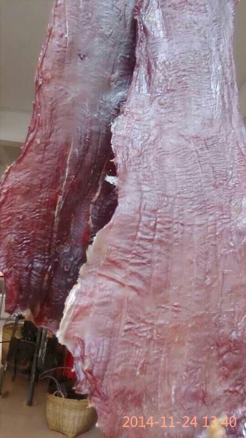 牛肉干水牛肉鲜肉