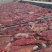 牛肉干水牛肉鲜肉