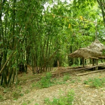 雷竹8~9m，要的话可以提前我