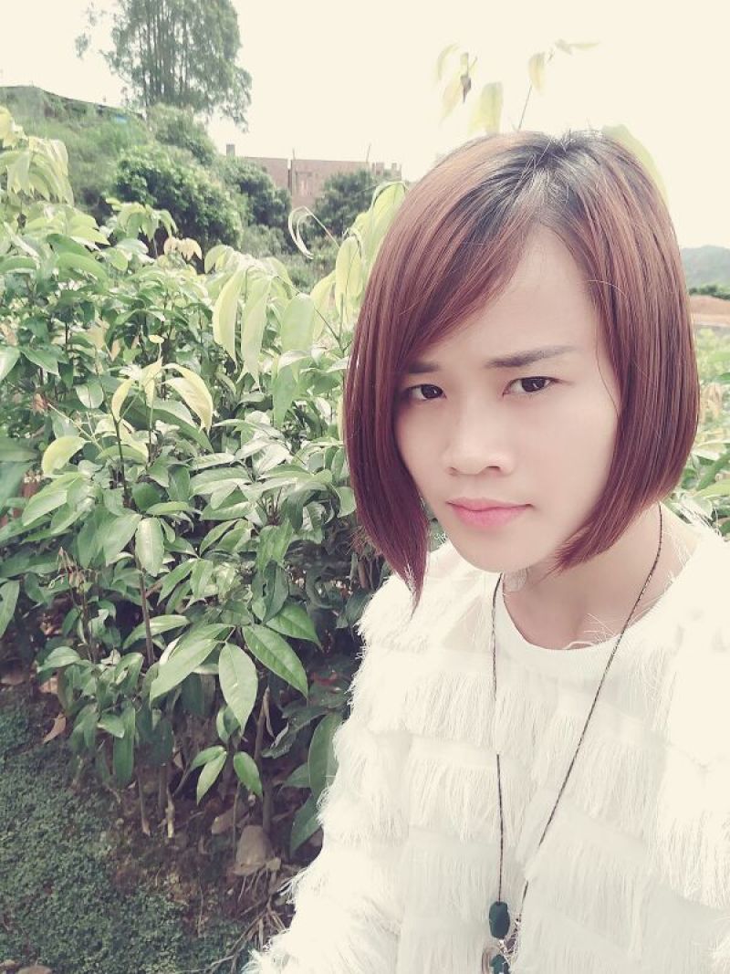 无核荔枝苗50~80cm