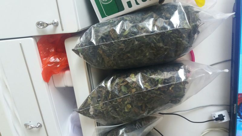 福鼎白茶二级