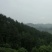 香肠