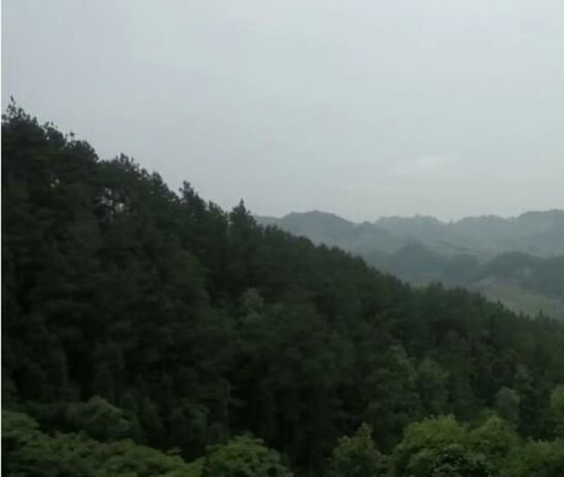 香肠