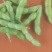 翠绿宝