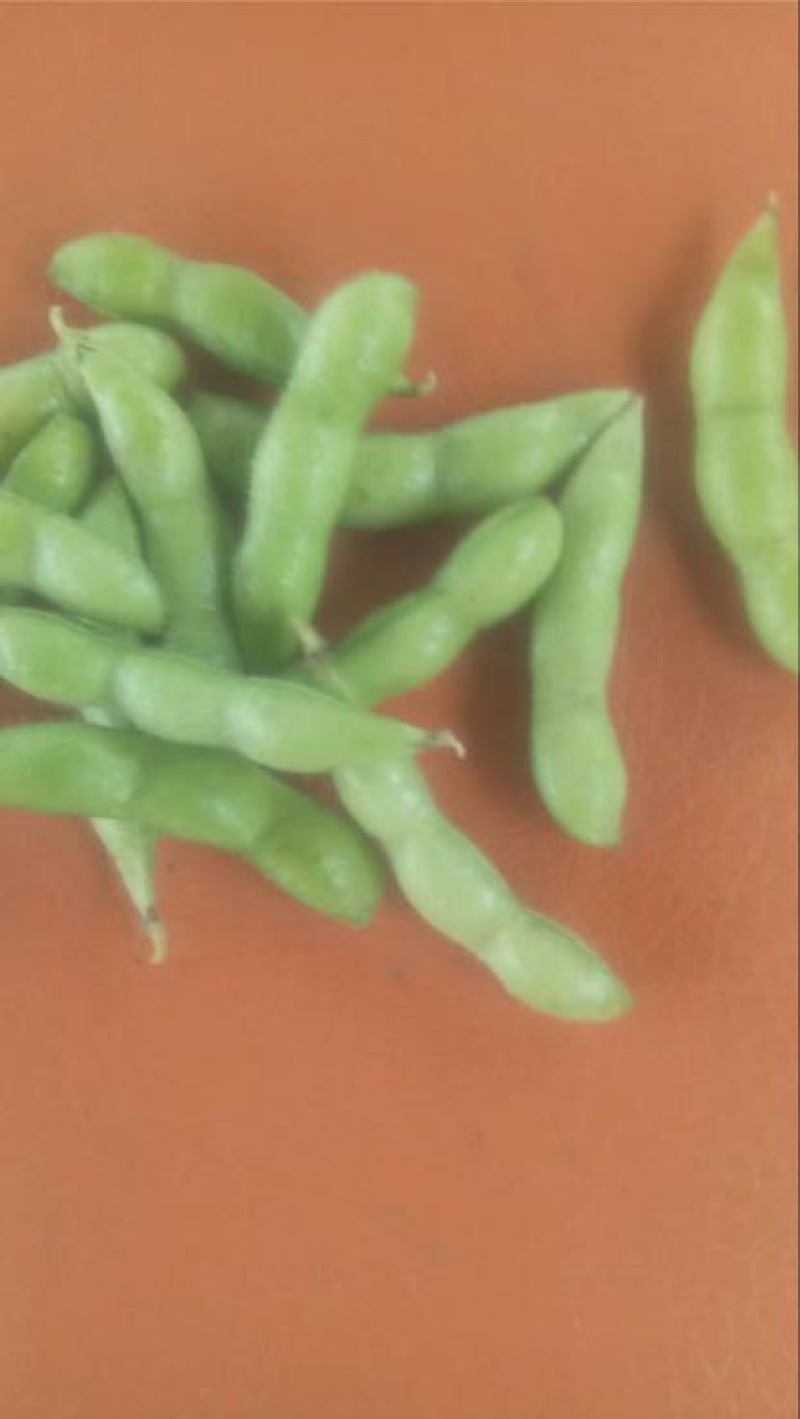 翠绿宝