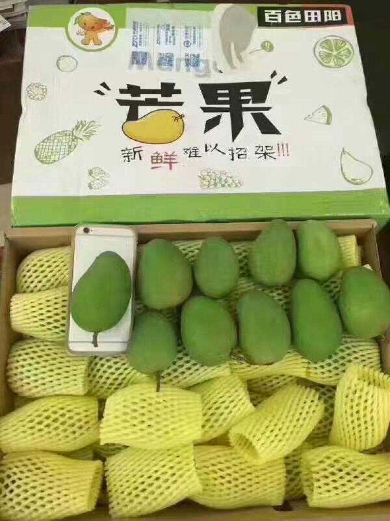 台农芒4两以上