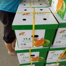 西州蜜瓜3斤以上长圆形