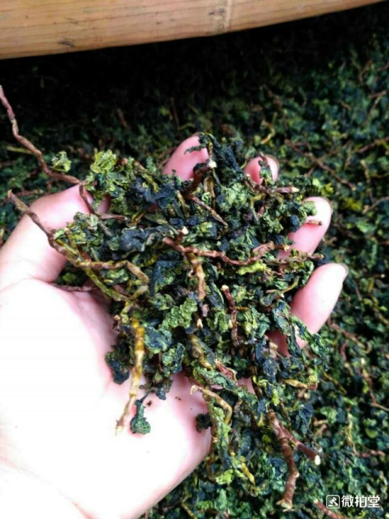 清香铁观音新茶上市了，自产自销，价格实惠