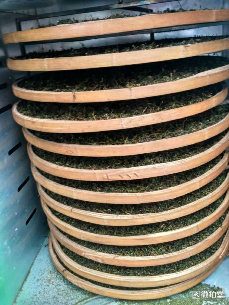 清香铁观音新茶上市了，自产自销，价格实惠