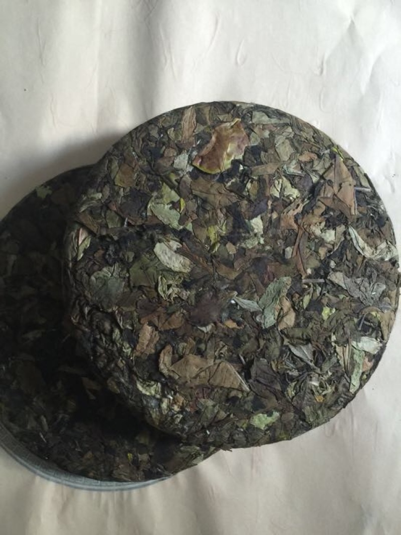 福鼎白茶