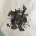 福鼎白茶