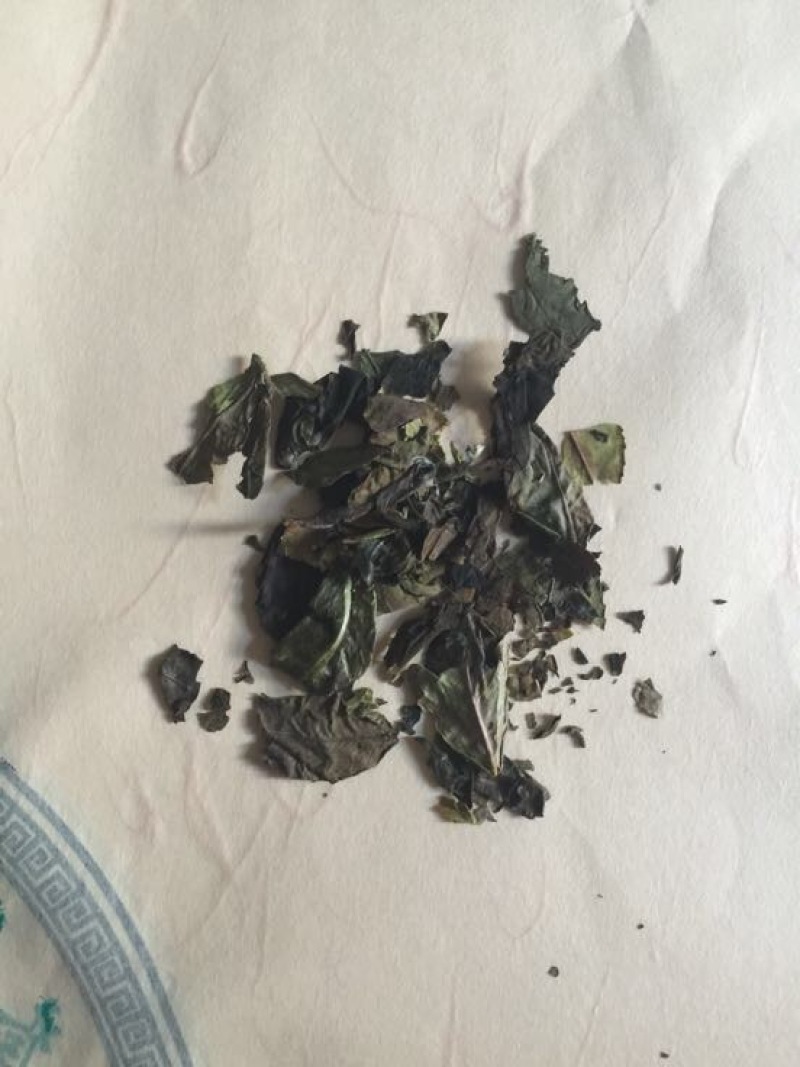 福鼎白茶