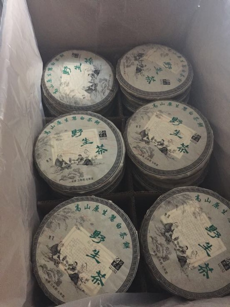 福鼎白茶