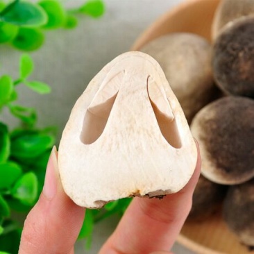 鲜草菇90%特级