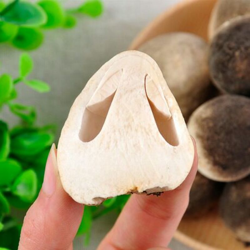 鲜草菇90%特级