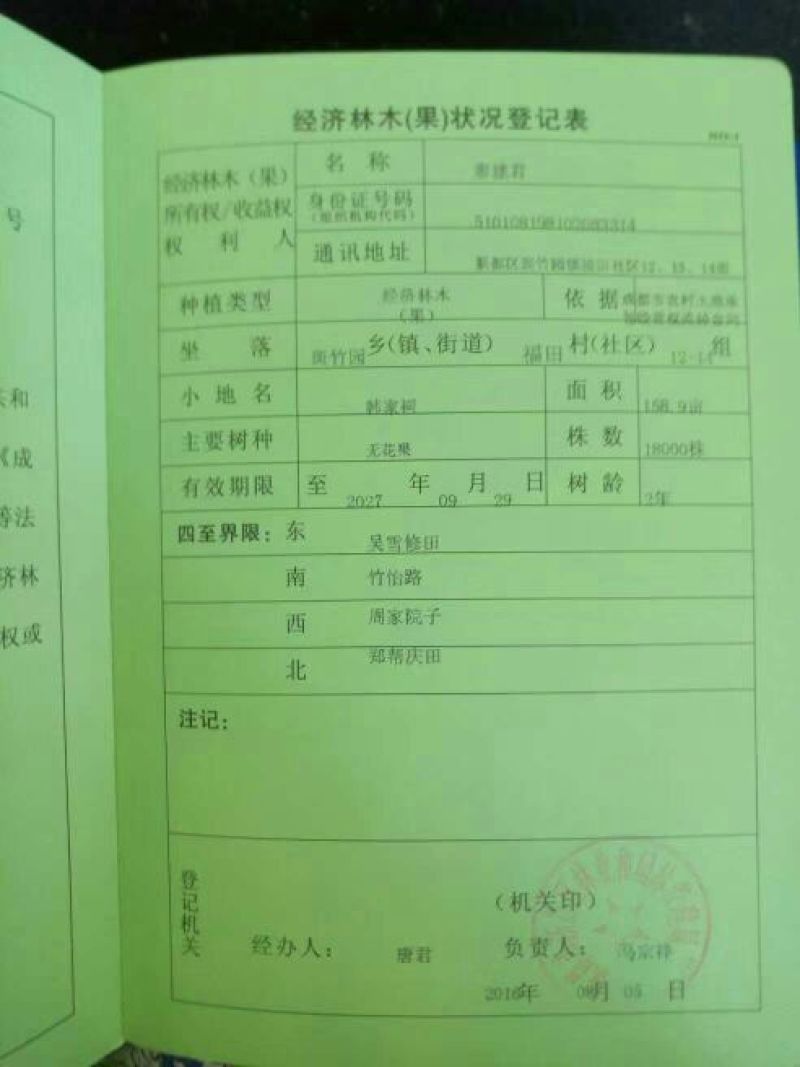 无花果60~70g