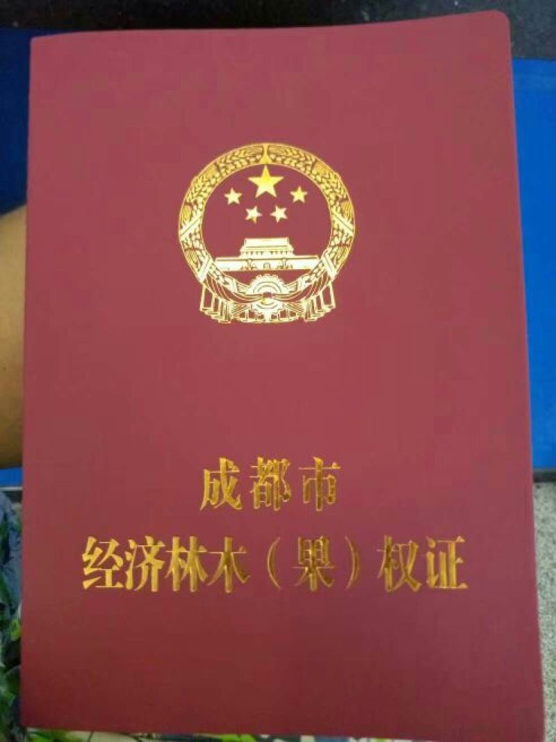 无花果60~70g