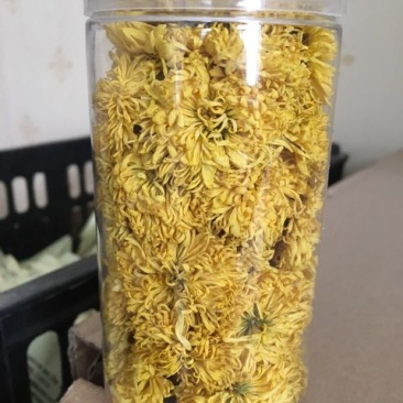 菊花茶一级