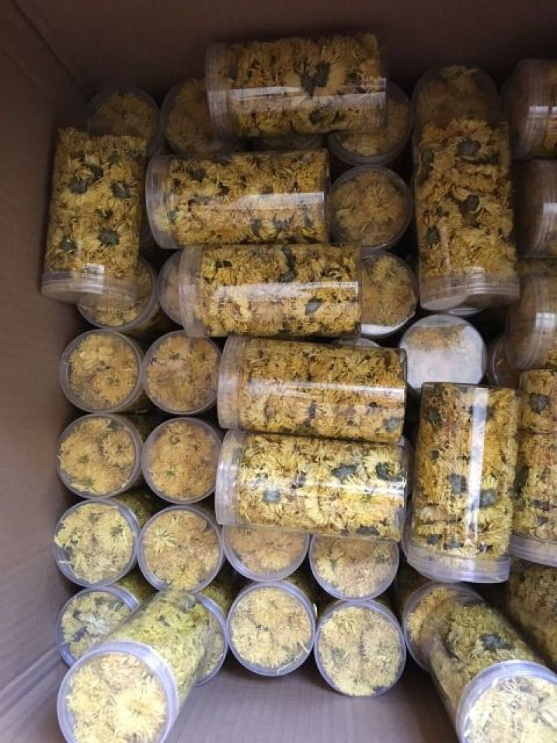 菊花茶一级