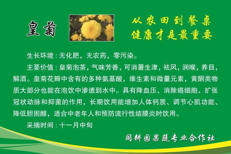 菊花茶一级