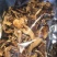 老人头菇干片