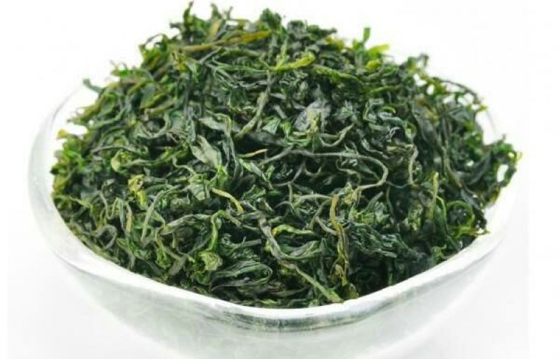 苦丁茶