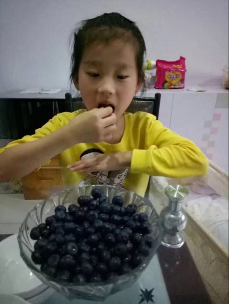 蓝莓