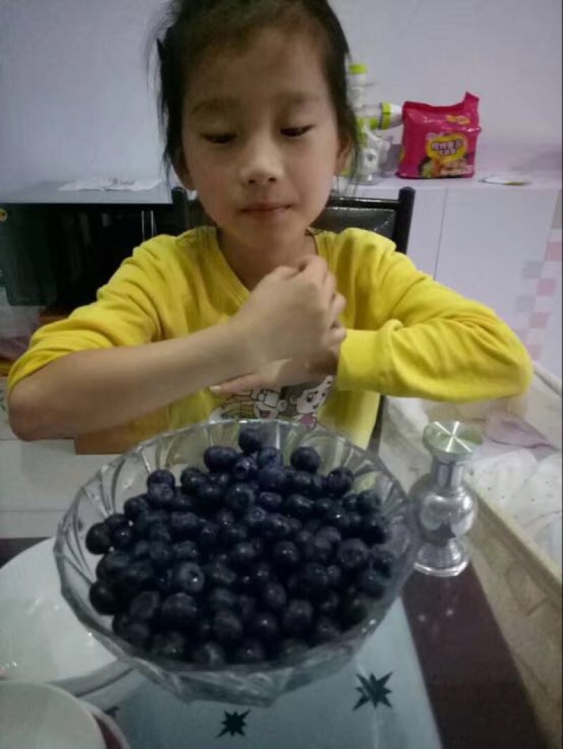 蓝莓