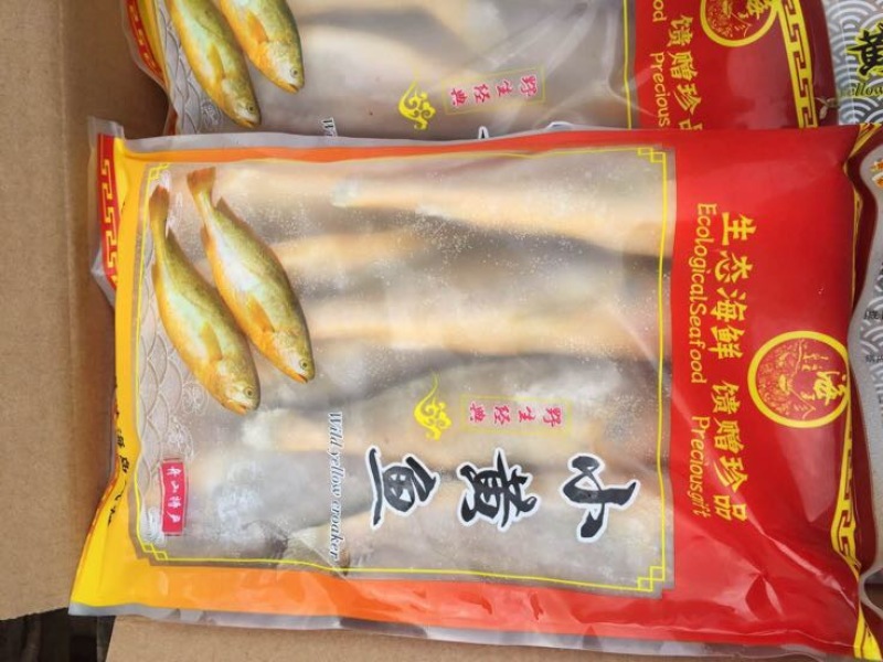 小黄鱼