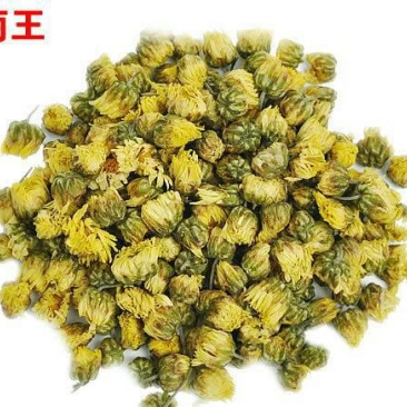 杭州白菊散装