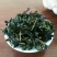 高山茶兰花香浓香铁观音烟条礼盒装，自家茶园采摘制茶农直销