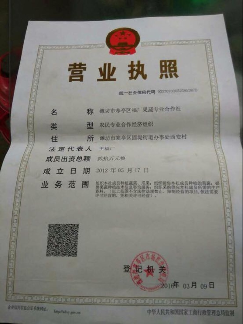早春红玉