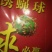 杀虫灯透蝇球