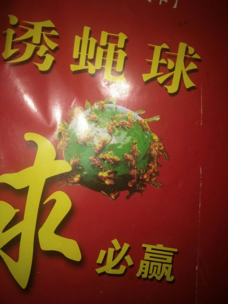 杀虫灯透蝇球
