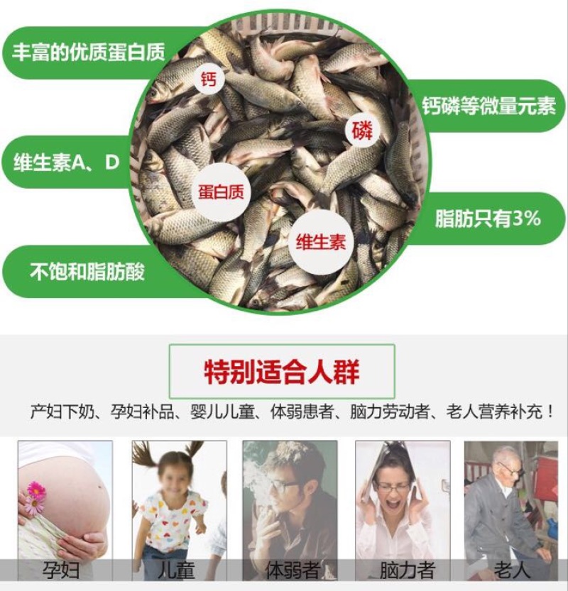 黄金鲫